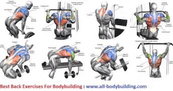 Exercise choice is drastically limited for such individuals due to the discomfort experienced when performing an exercise which requires the core muscles to stabilise the trunk. Best Back Exercises For Bodybuilding - all-bodybuilding.com