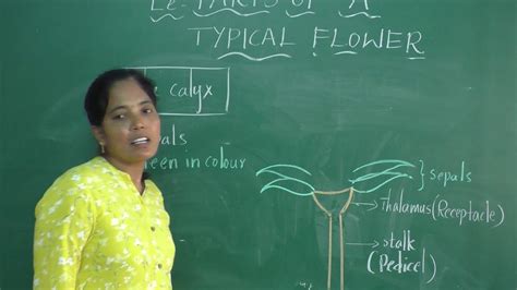 Learnmedia Online Tutor Nagalakshmi Biology Teacher Demo Youtube