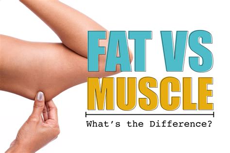 Fat Vs Muscle Whats The Difference Austin Weight