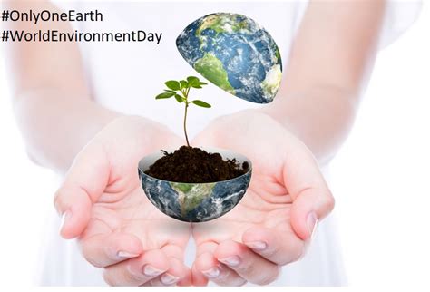 Hari Lingkungan Hidup Sedunia Hanya Satu Bumi