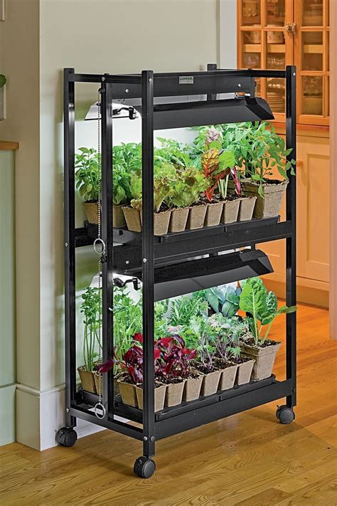Indoor Vegetable Garden Tips Starting Vegetable Gardens