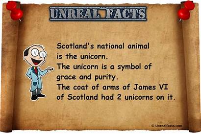 Scotland Unicorn Animal National Facts Unrealfacts Scotlands