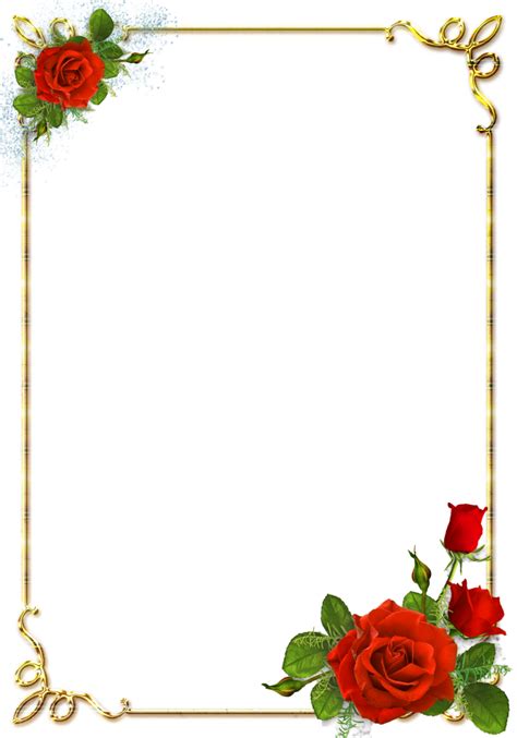 Floral Frame Png Transparent Image Download Size 900x1286px