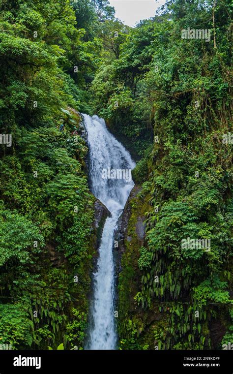 Waterfalls In The Costa Rican Rainforest Stock Photo Alamy