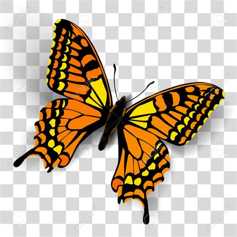 Free Monarch Butterfly Clipart Clipground