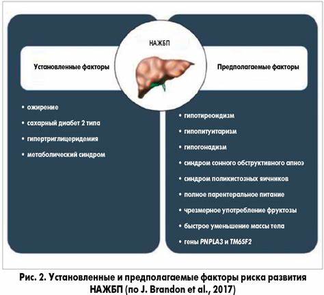 Диета при жировой дистрофии печени Диета При Жировой Инфильтрации Печени 1 Степени — Похудение Диета Диета При Жировой Инфильтрации Печени 1 Степени — Похудение Диета Диета при жировой дистрофии печени