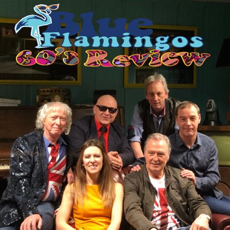 Blue Flamingos Scandinavian Concert And Tour Promotion