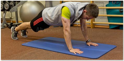 Plank Exercise Muscles Used