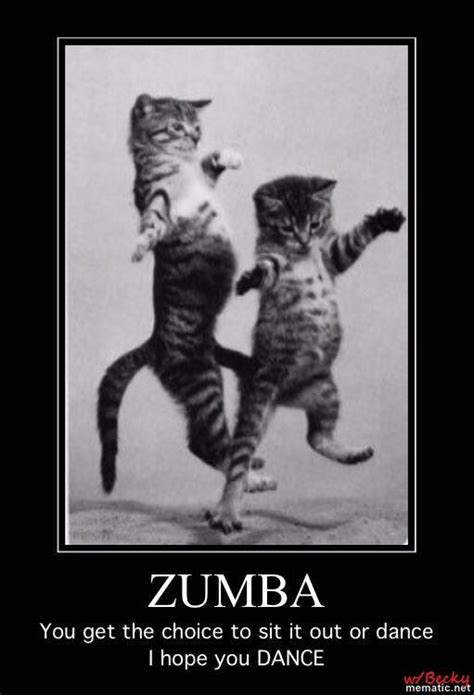 Zumba Funny Gym Humor Cats Dancing Becky Zumba Funny Zumba Zumba