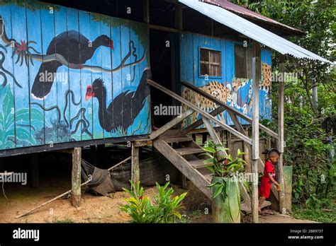 Enfant Indien Amazonie Banque De Photographies Et Dimages à Haute