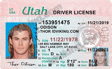 Free Editable Drivers License Template
