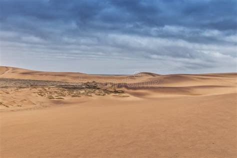Fotografia Das Dunas Com Vegetação Do Deserto De Namibe África Angola