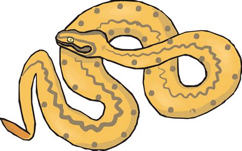Snake Face Drawing Clipart Free To Use Clip Art Resource Clip Art