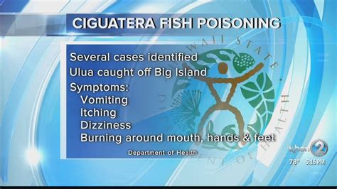 Health Officials Looking Into Recent Cases Of Ciguatera Poisoning Youtube