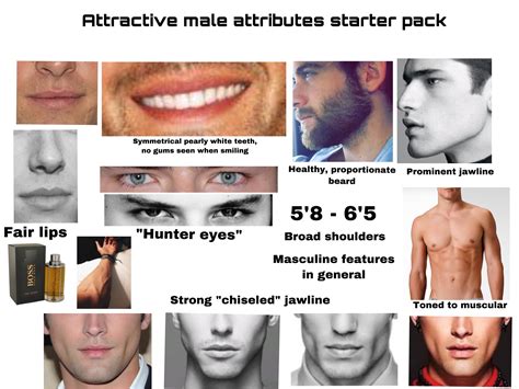 Attractive Male Starter Pack Mens Self Improvement And Aesthetics