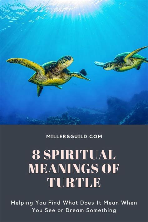 8 Spiritual Meanings Of Turtle Turtle Spirit Animal Turtle Symbolism
