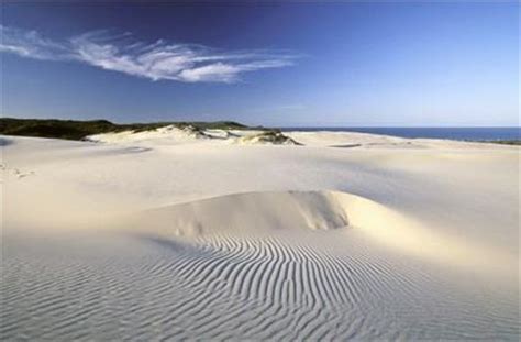 Latest holiday packages & accommodation deals for the islands of queensland. Safari sur Fraser Island / Fraser Island / Queensland ...