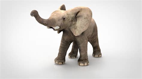 3d Model Elephant Baby Vr Ar Low Poly Cgtrader