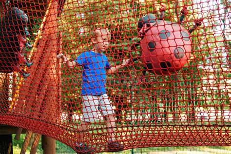 Happy Boy Overcomes Obstacles In Rope Adventure Park Summer Holidays