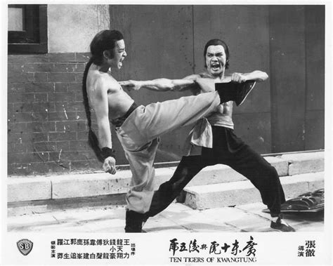 Ten Tigers Of Kwangtung Martial Arts Film Martial Arts Actor Kung Fu Movies