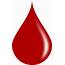 Blood Drop Logo  LogoDix