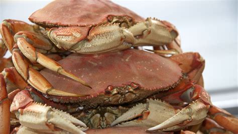 Get Crackin': The Bay Area Dungeness Crab Heatmap - Eater SF