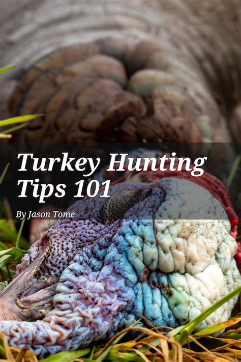 23 Best Turkey Hunting Tips For Beginners Turkey Hunting 101