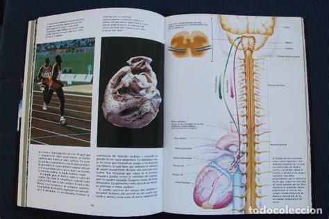 Consideró un lugar seguro y confiable libro gratis es una de las tiendas en línea favoritas para comprar libro el animal humano a precios mucho más bajos de lo que pagaría si. libro tomo el cuerpo humano: el corazon - club - Comprar ...