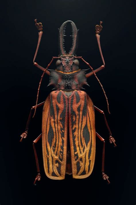 Macro Portraits Reveal The Glamor And Peril Of Endangered Insects