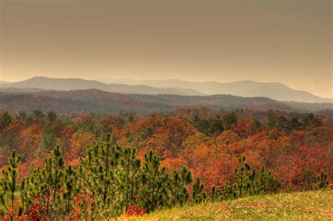 10 State Parks In Alabama With Beautiful Fall Foliage