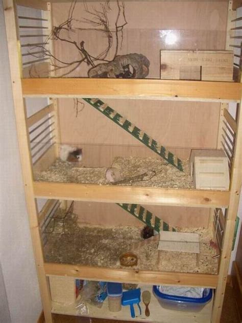 4,6 von 5 sternen 5. 56 Top Photos Meerschweinchen Haus Bauen ...