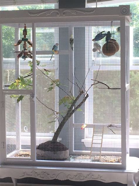 Untitled Parakeet Cage Bird Cage Design Diy Bird Cage