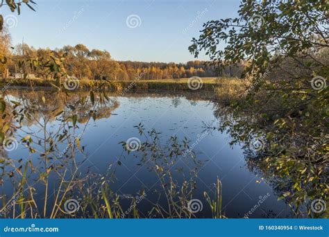 Beautiful Shot Of A Lake Surrounded By Trees Under A Clear Sky In