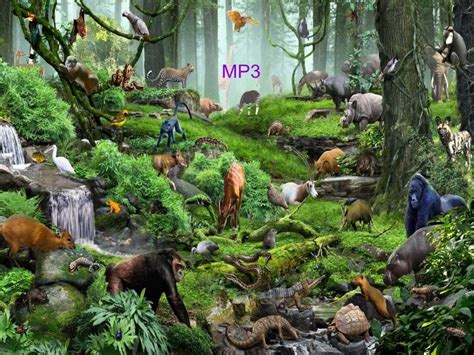 Communicate With Animals Nature Mp3