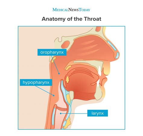 Back and neck pain is not necessarily something you have to live with. Throat cancer: Symptoms, pictures, causes, and treatment
