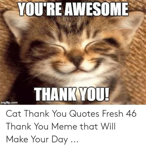 Youre Awesome Thank You Imgfipcom Cat Thank You Quotes Fresh 46 Thank