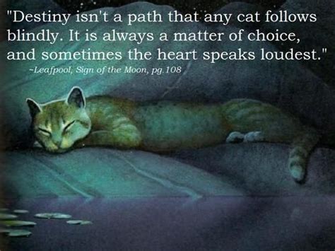 Warrior Cats Quotes And Sayings Quotesgram Warriors Warrior Cats Quotes Cat Quotes Cat
