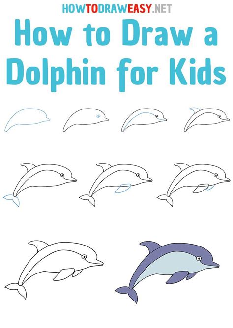 How To Draw A Dolphin Step By Step Jaymie Kinsey