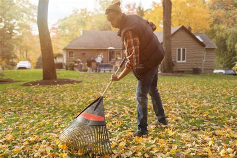 Is It Necessary To Rake Leaves Off The Lawn