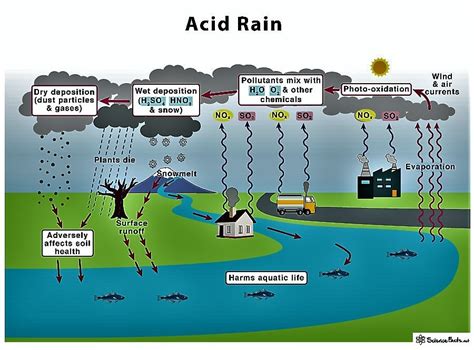 Acid Precipitation Cycle