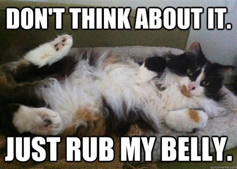 Don T Think About It Just Rub My Belly Belly Rub Nixy Quickmeme