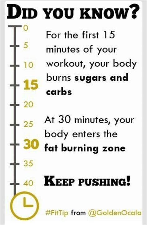 great workout facts 💪💪👏 musely