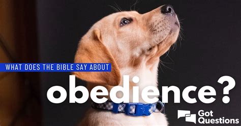 What Does The Bible Say About Obedience