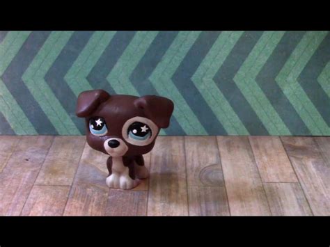 I was never truly a fan of the littlest pet shop toys as a kid, and so didn't very much care when a cartoon was announced way back in 2012. Pin by quackk on Littlest pet shop customs | Pet shop ...