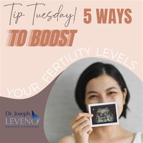 Tip Tuesday Boost Your Fertility Levels Dr Joseph Leveno
