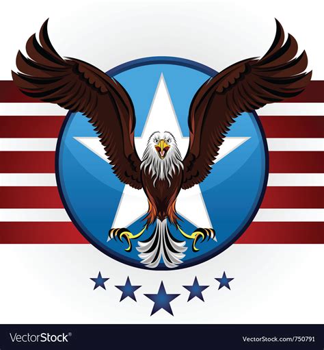 american bald eagle royalty free vector image vectorstock