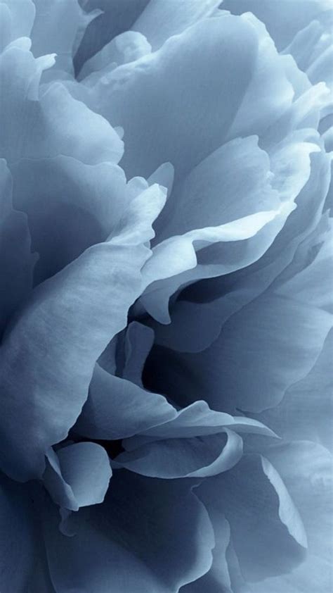 Beliebteste fototapete mit natur de top 10 der meistverkauften fototapeten fototapeten zu beliebten themen op.fototapete zum thema essen und trinken. blue flower | Blaue kunst, Hübsche tapeten und ...