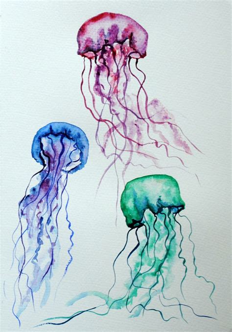 Pin By Luke Palmquist On Watercolor With Images Jellyfish Art