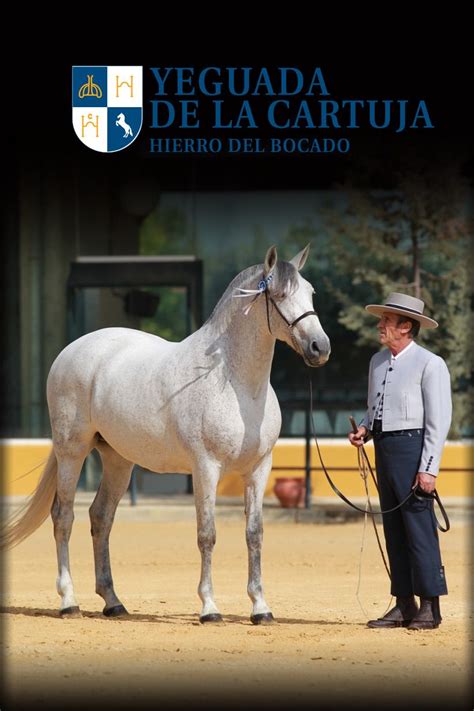√ Hierros De Ganaderias De Caballos Pre - Cachos e Outras Ondas