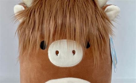 The Benefits Of Owning A Highland Cow Squishmallow Marketbuzzonline